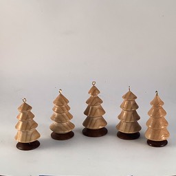 5 Trees