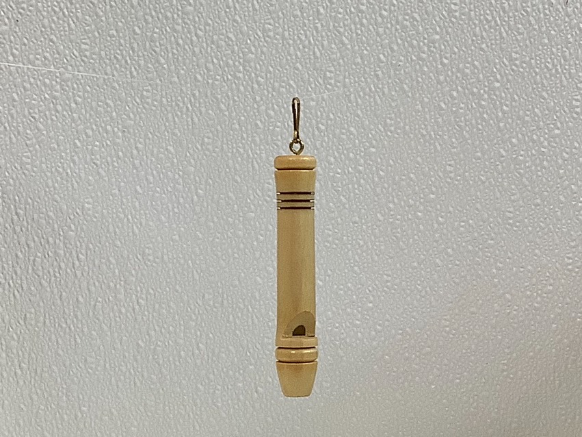 whistle P